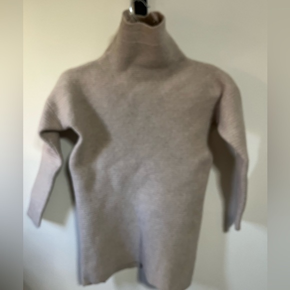 Madewell Wool Turtleneck Imperfection Sweater Sz Small - Picture 3 of 7